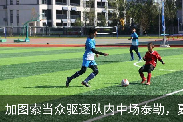 加图索当众驱逐队内中场泰勒，夏训强硬立规矩，铁血风格拉满！