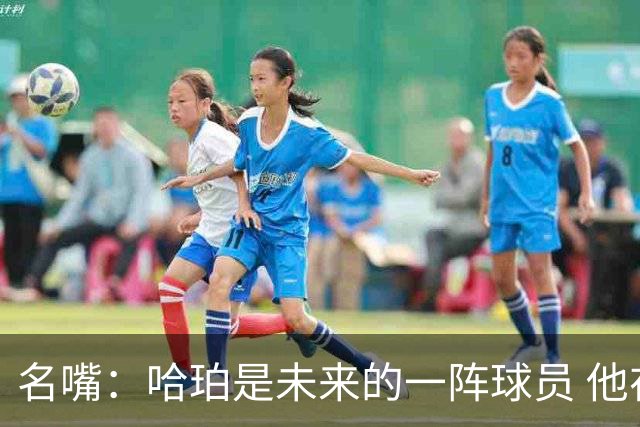名嘴：哈珀是未来的一阵球员 他在总决赛的高压下依然游刃有余