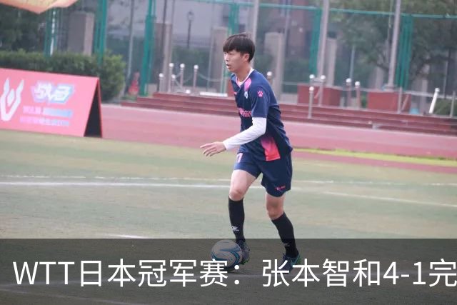 WTT日本冠军赛：张本智和4-1完胜韩乒名宿之子，兄妹主场连夺2冠